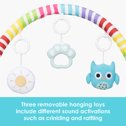 Smart Steps Musical STEM Gym three removable hanging toys include different sound activitions